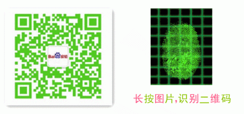 微信公众号怎么给文章添加动态的二维码?