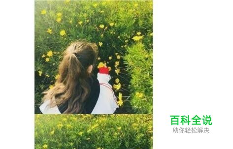 微信公众号编辑时怎么让两张图片中间没有缝隙