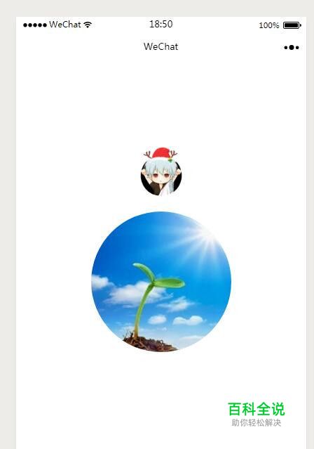 微信小程序开发之如何加载本地图片？