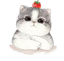 微信摇骰子比大小群【微信骰子有趣玩法】