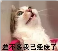 微信摇骰子作弊|微信摇骰子表情包