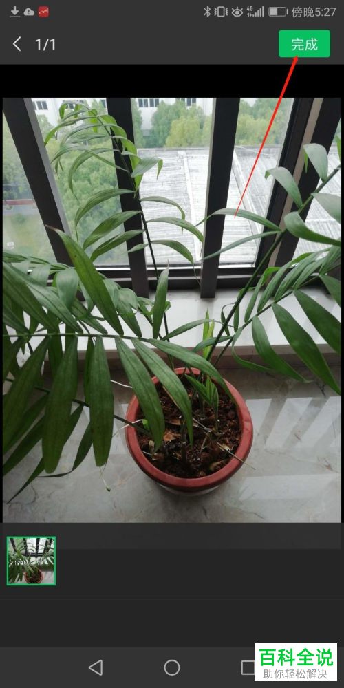 微信中怎么使用形色识花小程序来辨别花草