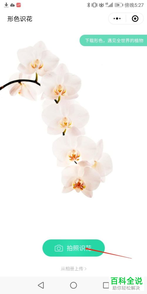 微信中怎么使用形色识花小程序来辨别花草
