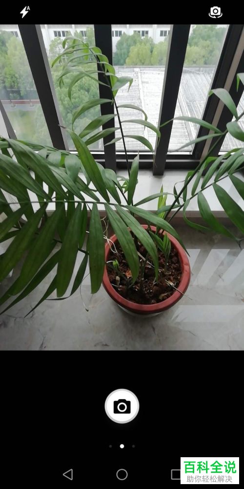 微信中怎么使用形色识花小程序来辨别花草