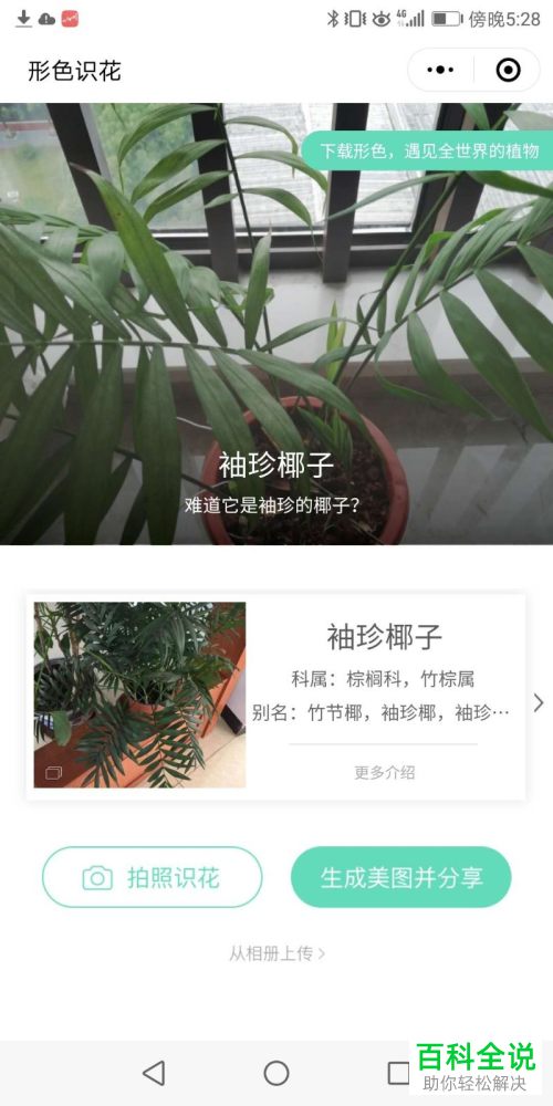 微信中怎么使用形色识花小程序来辨别花草
