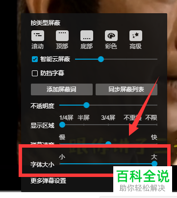 网页版哔哩哔哩怎么对视频中弹幕的字体大小进行设置
