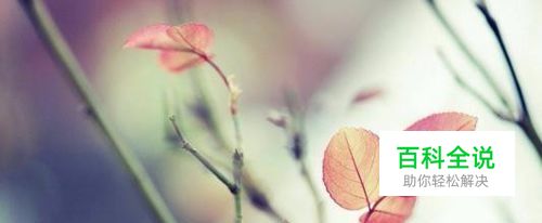 网页常用图像格式GIF、JPG、PNG优缺点是什么？