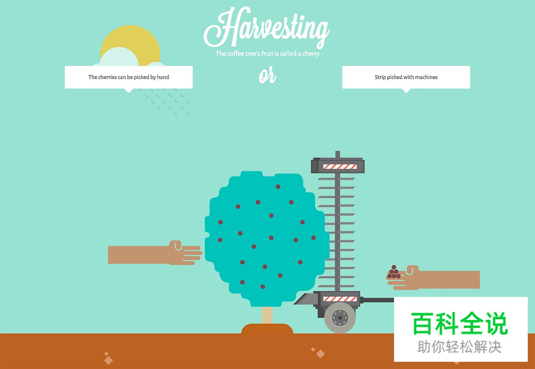 网页动效的设计指南