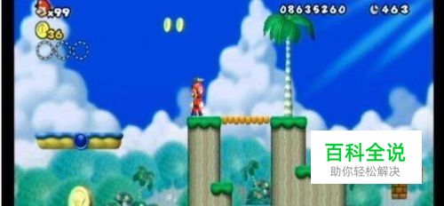 新超级马里奥兄弟wii攻略