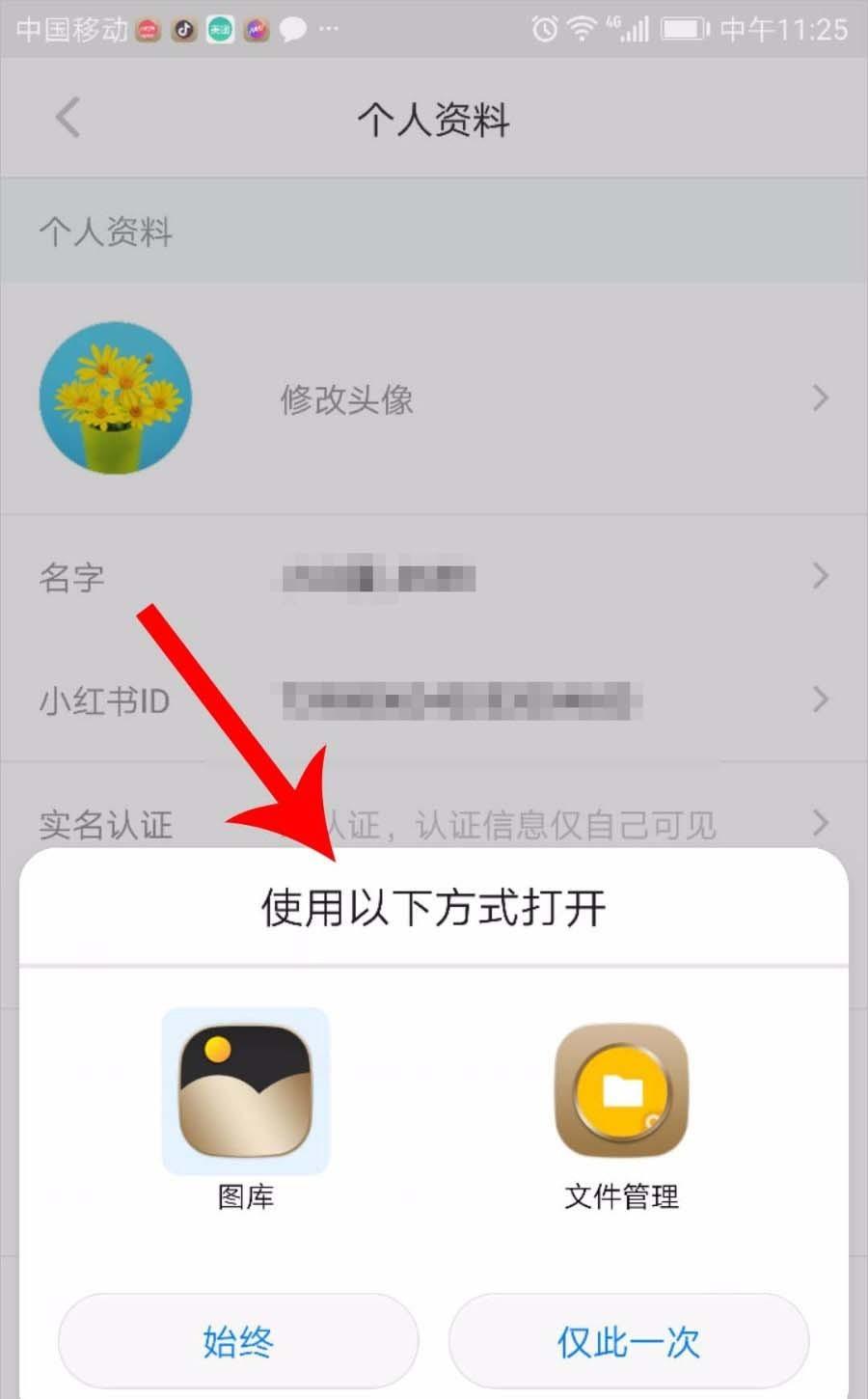 小红书头像怎么修改?小红书换头像的方法
