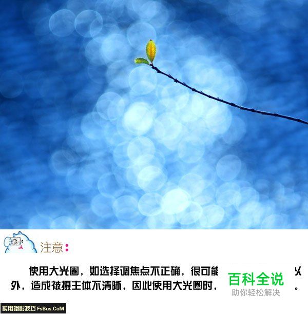 学会摄影构图中的取舍艺术