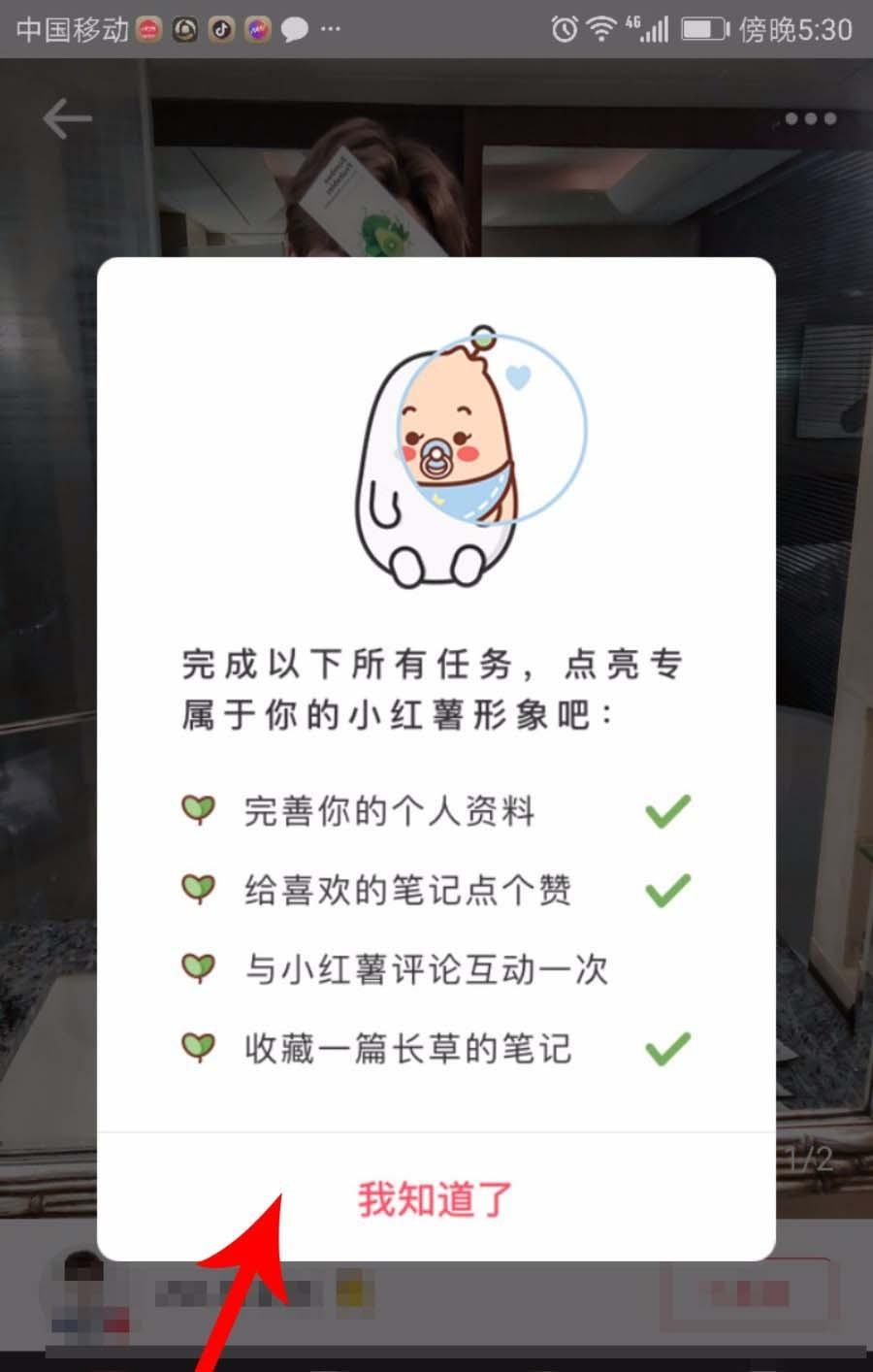 小红书头像怎么修改?小红书换头像的方法