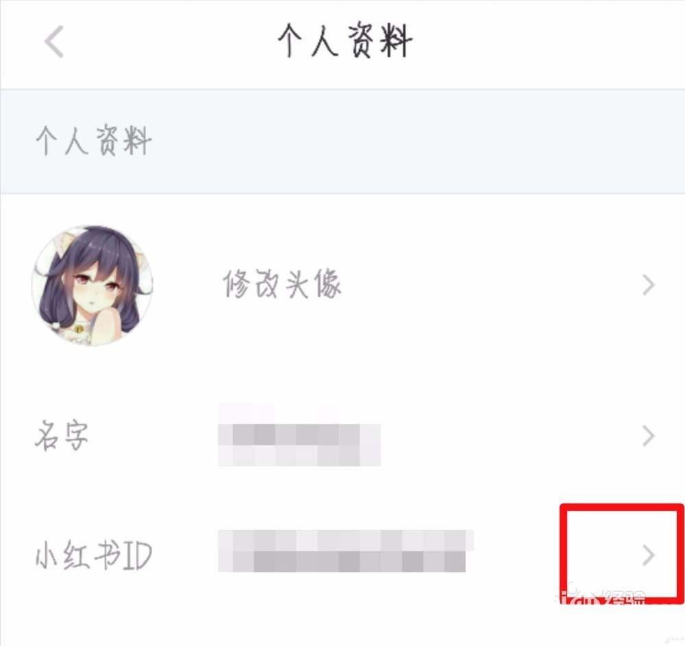 小红书app用户ID名称怎么修改?