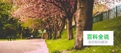 学会这3个小技巧，轻松拍出最美花海照