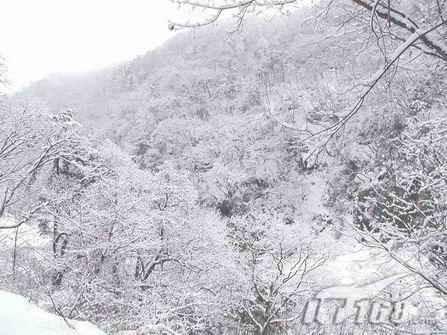 详解液晶屏参数概念误区