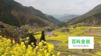 相机照片误删除怎么找回？