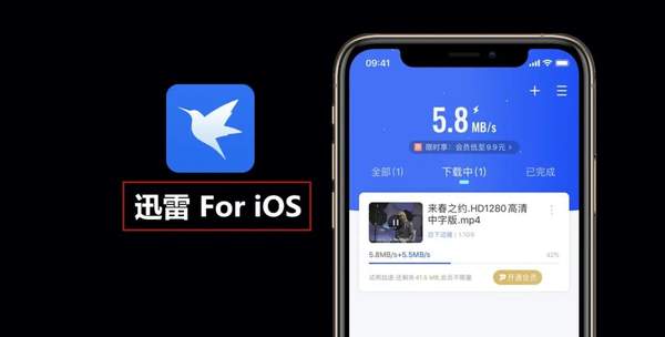 迅雷ios版本为什么不能下载（新版ios手机迅雷怎么下载）
