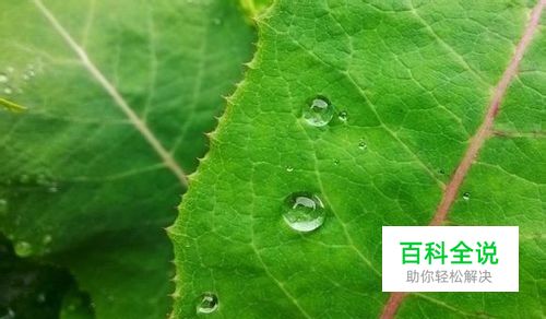 小米手机照片怎么虚化