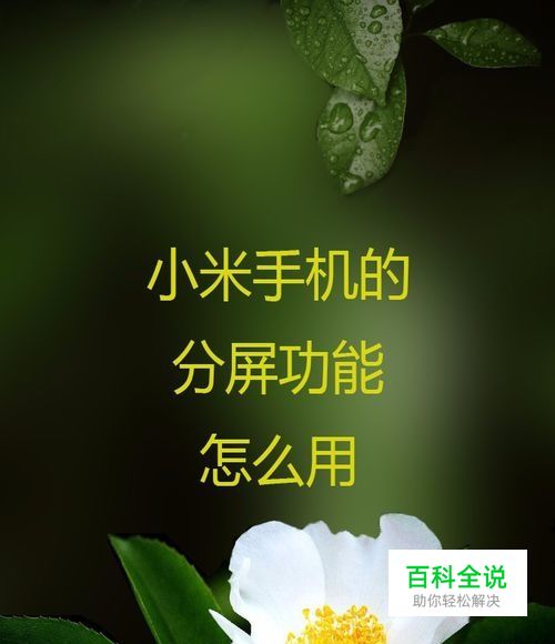 小米手机的分屏功能怎么用？