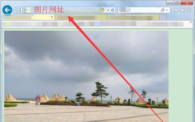 新浪图床是什么? 新浪图床的使用方法