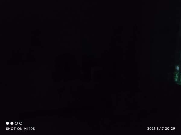 小米相机的专业模式是怎么用（小米专业拍照怎么调）