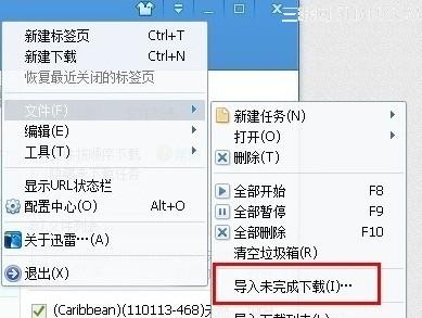 迅雷怎么导入未下载完的文件?