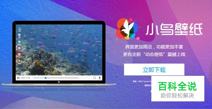 小鸟壁纸怎么用