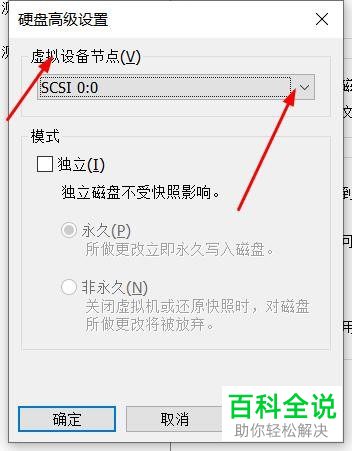 虚拟机中的虚拟设备节点SCSI 0：2在哪里找到