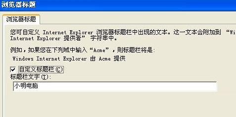 XP系统下给浏览器标题添加文字的方法