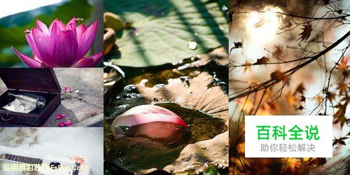 小清新人像5大拍摄手法