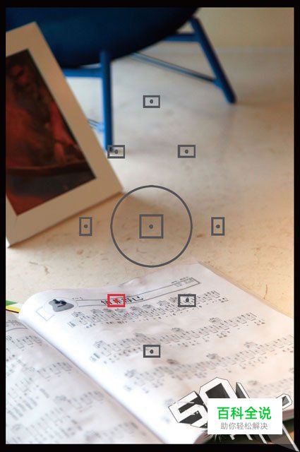 新手必学拍摄时该如何对焦？