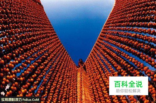 新手必学光圈与景深的关系