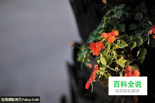 新手必学光圈与景深的关系