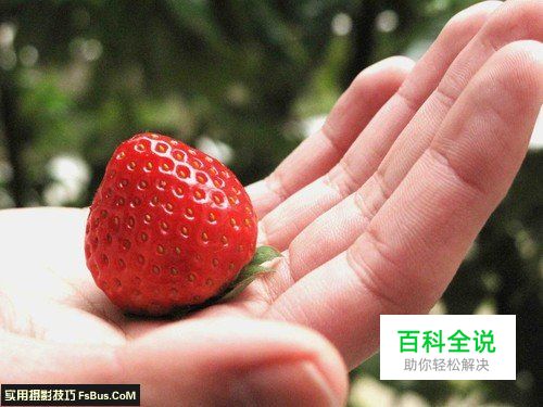 新手必学光圈与景深的关系