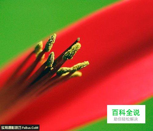 新手必学光圈与景深的关系