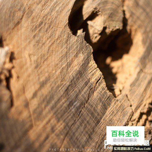 新手必须掌握的定焦镜头六个特点