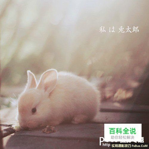 新手必须掌握的定焦镜头六个特点