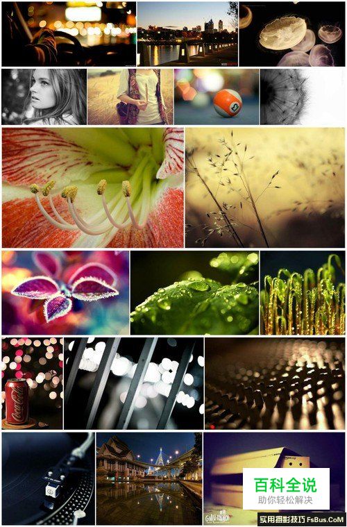 新手必须掌握的定焦镜头六个特点