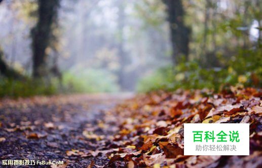 新手必读如何善用自然光来拍摄