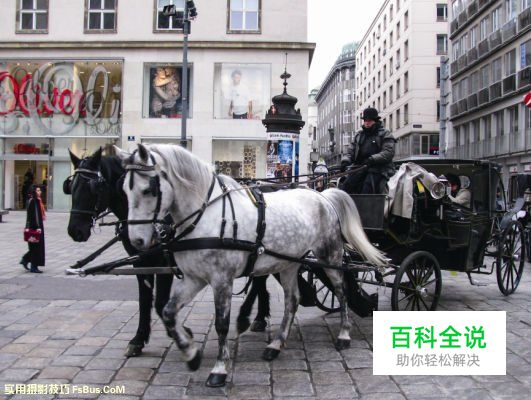 新手必读如何善用自然光来拍摄