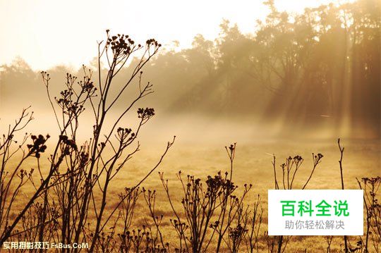 新手必读如何善用自然光来拍摄