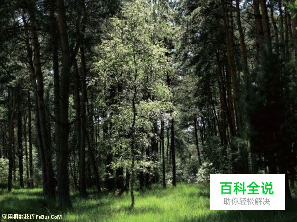 新手必读如何善用自然光来拍摄