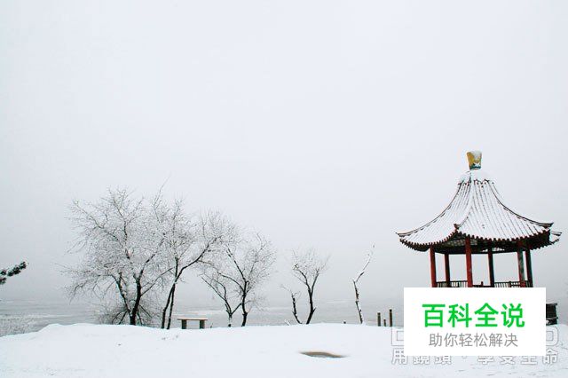 新手必学如何让照片正确曝光