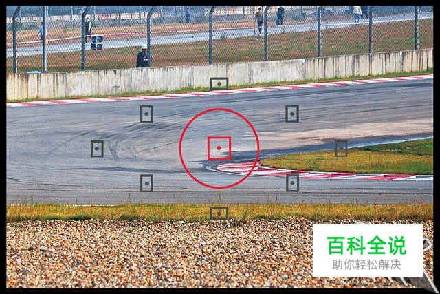 新手必学拍摄时该如何对焦？