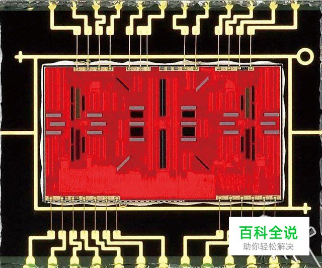 新手必学拍摄时该如何对焦？