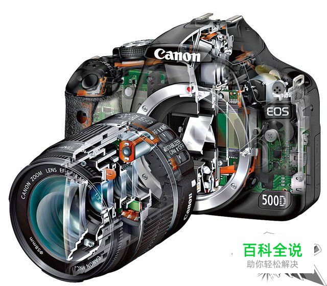 新手必学拍摄时该如何对焦？