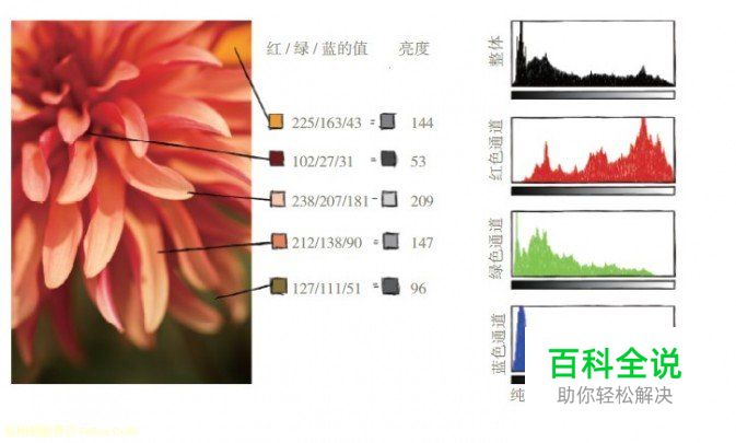 新手必读认识数码照片色调