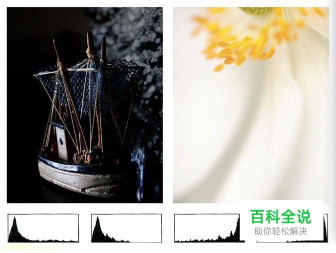 新手必读认识数码照片色调