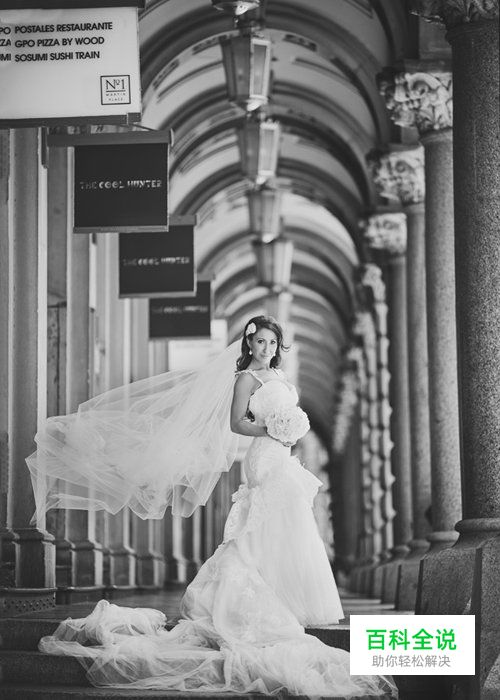 西式婚礼的流程以及拍摄指南