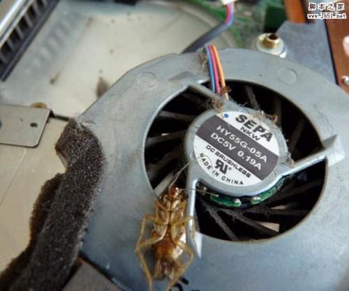 夏天来了笔记本除尘图文教程